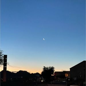 Meet your Posher, Joy